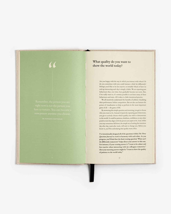 The Three Question Journal - Linen