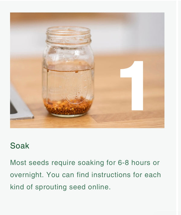 Food Huggers Micro Greens Kit
