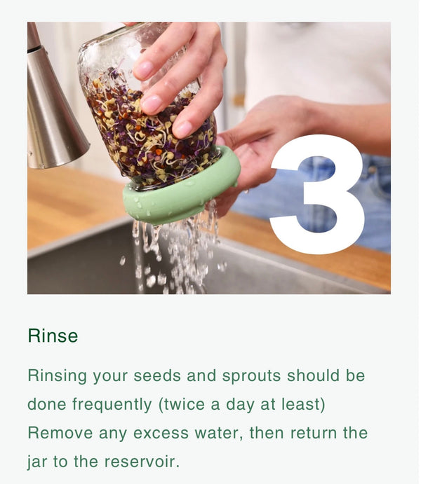 Food Huggers Micro Greens Kit