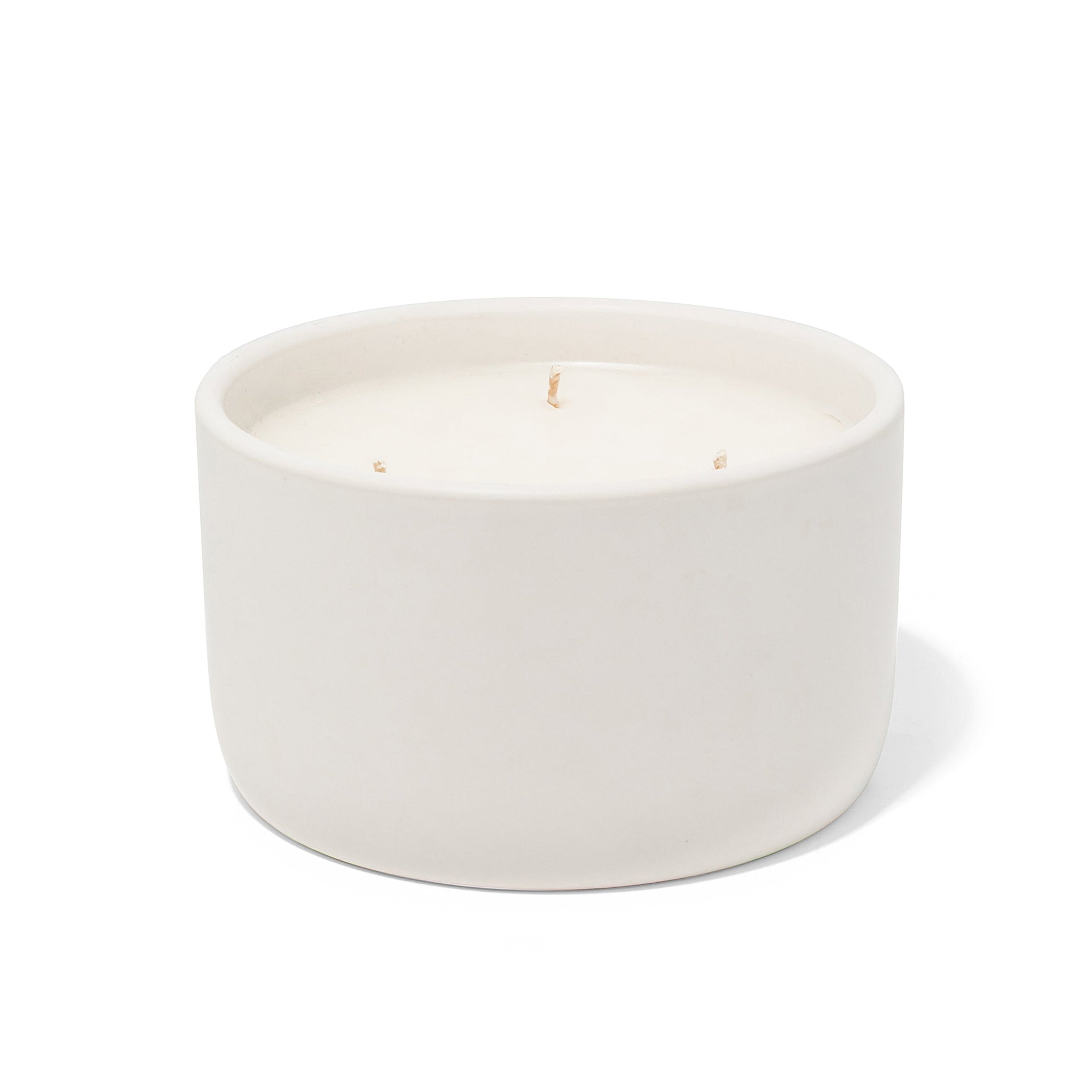 Bergamot Bentley