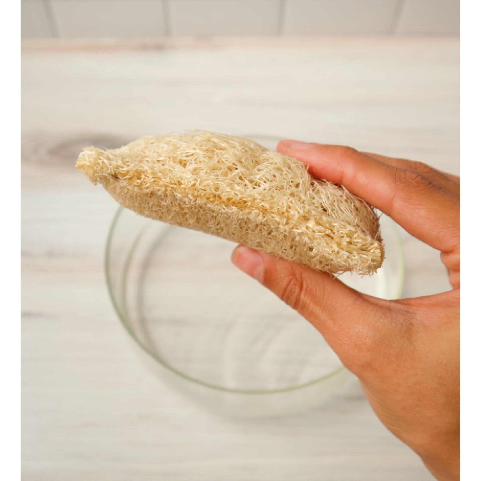 Natural Loofah Dish Sponges – Set of 2