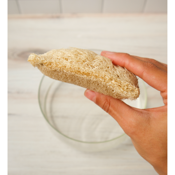Natural Loofah Dish Sponges – Set of 2