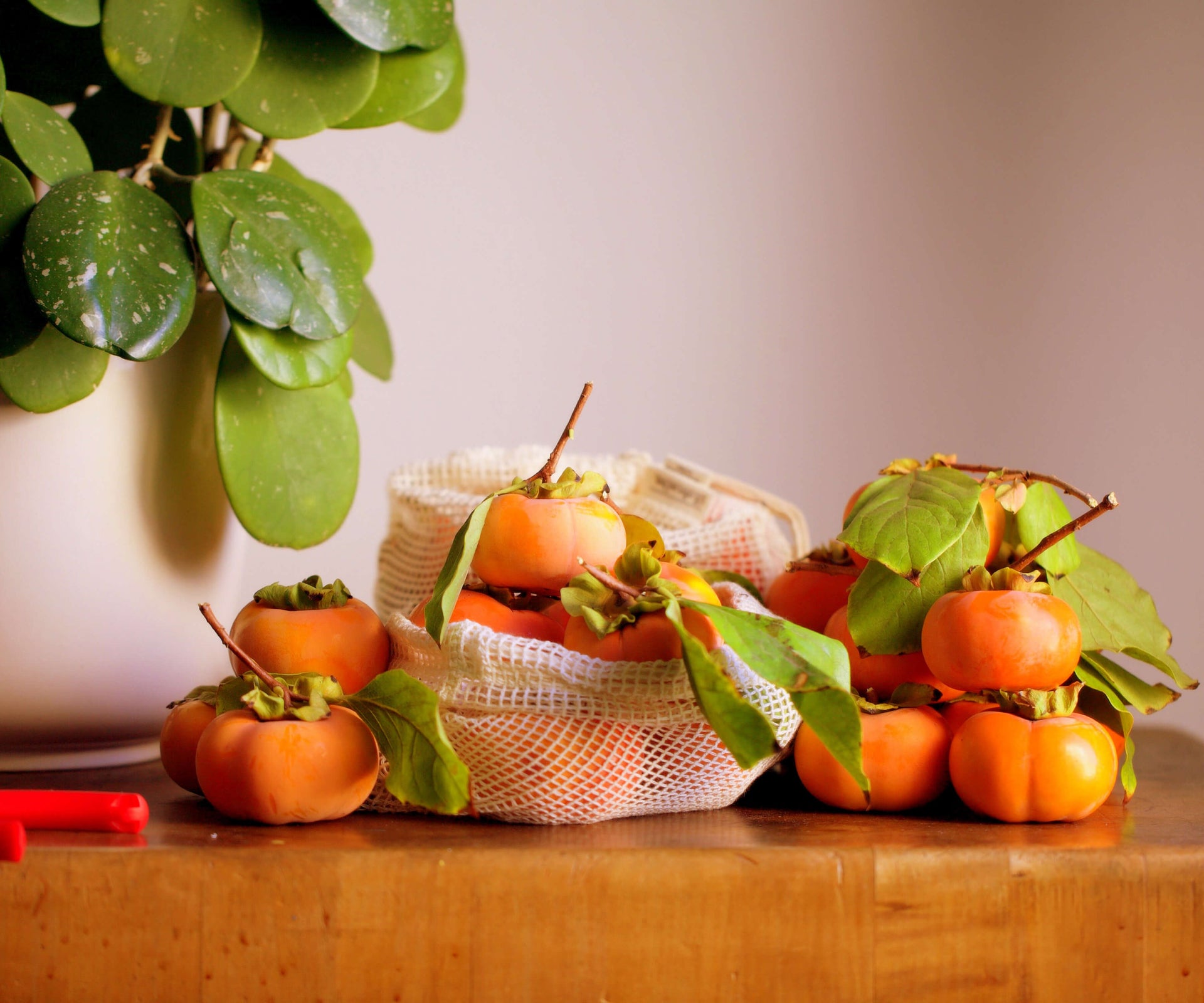 Reusable Mesh Produce Bags